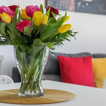 My - Rakowicka * Krakau