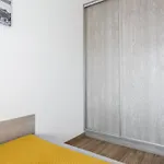 My - Rakowicka Kraków