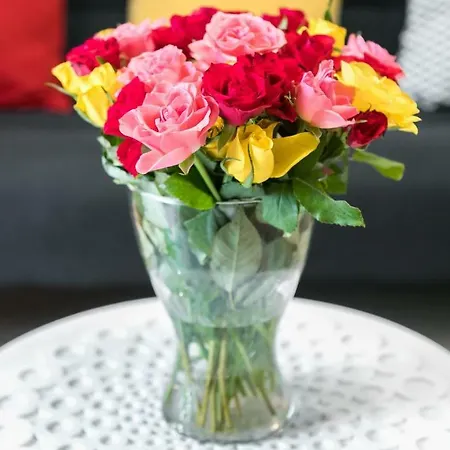 My - Rakowicka * Kraków