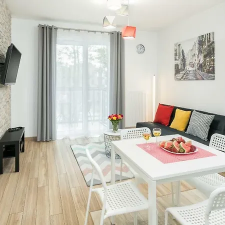 My - Rakowicka Krakov