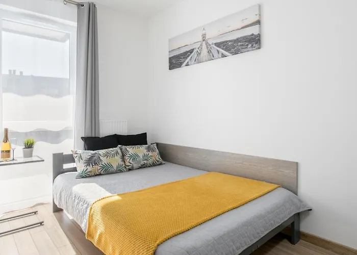 My - Rakowicka Apartamento *